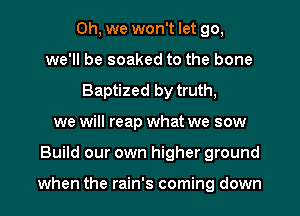 Oh, we won't let go,
we'll be soaked to the bone
Baptized by truth,
we will reap what we sow
Build our own higher ground

when the rain's coming down