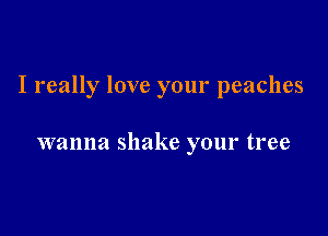 I really love your peaches

wanna shake your tree