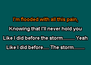 I'm flooded with all this pain,
Knowing that I'll never hold you
Like I did before the storm .......... Yeah
Like I did before ..... The storm .........