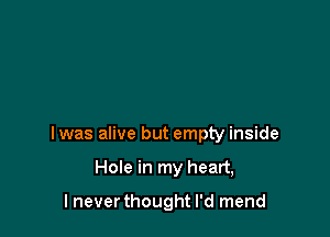 I was alive but empty inside

Hole in my heart,

I neverthought I'd mend