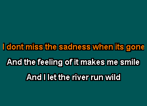 I dont miss the sadness when its gone
And the feeling of it makes me smile

And I let the river run wild