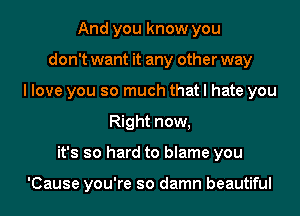 And you know you
don't want it any other way
I love you so much that I hate you
Right now,
it's so hard to blame you

'Cause you're so damn beautiful