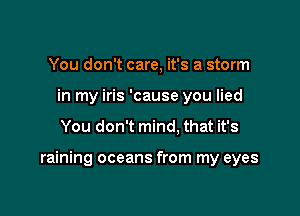 You don't care, it's a storm
in my iris 'cause you lied

You don't mind. that it's

raining oceans from my eyes