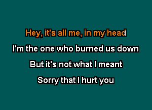 Hey, it's all me, in my head
I'm the one who burned us down

But it's not what I meant

Sorrythatl hurt you