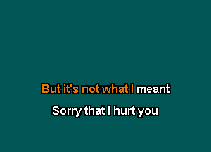 But it's not what I meant

Sorrythatl hurt you