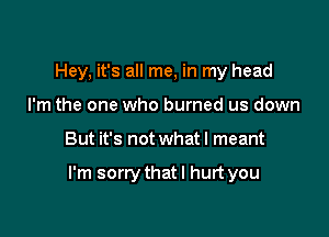 Hey, it's all me, in my head
I'm the one who burned us down

But it's not what I meant

I'm sorrythatl hurt you