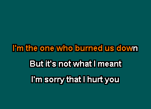 I'm the one who burned us down

But it's not what I meant

I'm sorrythatl hurt you