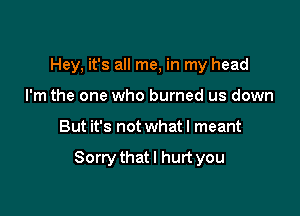 Hey, it's all me, in my head
I'm the one who burned us down

But it's not what I meant

Sorrythatl hurt you