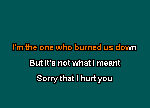 I'm the one who burned us down

But it's not what I meant

Sorrythatl hurt you