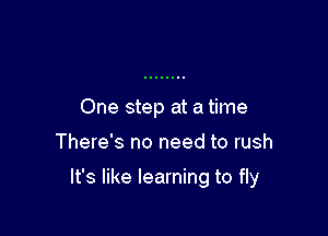 One step at a time

There's no need to rush

It's like learning to fly