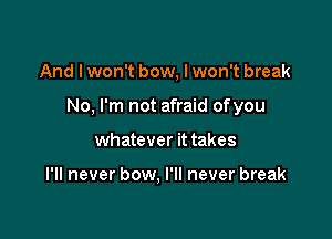 And I won't bow, I won't break

No, I'm not afraid ofyou

whatever it takes

I'll never bow, I'll never break