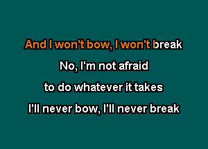 And I won't bow, I won't break
No, I'm not afraid

to do whatever it takes

I'll never bow, I'll never break