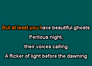 But at least you have beautiful ghosts
Perilous night,
their voices calling

A flicker of light before the dawning
