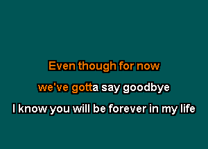 Even though for now

we've gotta say goodbye

I know you will be forever in my life