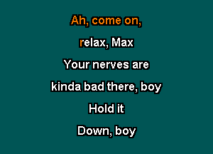 Ah, come on,
relax, Max

Your nerves are

kinda bad there, boy
Hold it

Down, boy