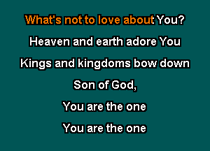 What's not to love about You?

Heaven and earth adore You

Kings and kingdoms bow down

Son of God,
You are the one

You are the one