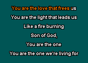 You are the love that frees us
You are the light that leads us
Like a fire burning
Son of God,

You are the one

You are the one we're living for l