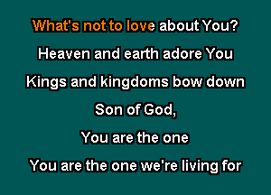 What's not to love about You?
Heaven and earth adore You
Kings and kingdoms bow down
Son of God,

You are the one

You are the one we're living for