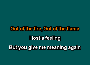 Out of the fire. Out of the flame

I lost afeeling

But you give me meaning again