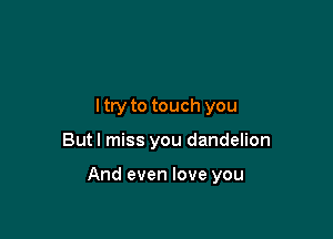 I try to touch you

But I miss you dandelion

And even love you