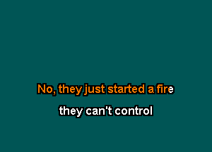 No, theyjust started a fire

they can't control