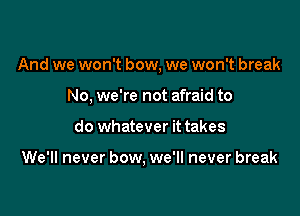 And we won't bow, we won't break
No. we're not afraid to

do whatever it takes

We'll never bow, we'll never break