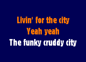 Liuin' for the city

Yeah yeah
The funky (ruddy tity