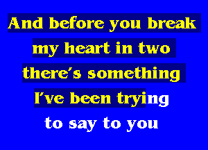 And before you break
my heart in two
there's something
I've been trying
to say to you