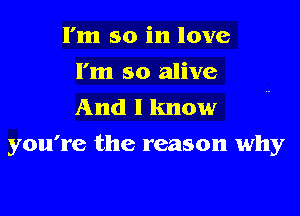 I'm so in love
I'm so alive
And I know

you're the reason why