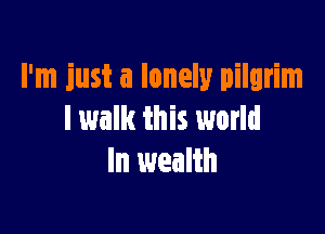 I'm just a lonely pilgrim

I walk this world
In wealth