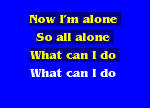 Now I'm alone
So all alone

What can I do
What can I do