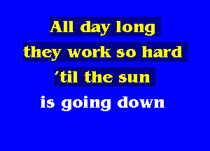 All day long
they work so hard
'til the sun

is going down