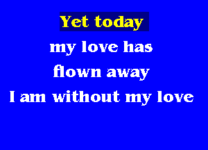 Yet today
my love has

flown away

I am without my love