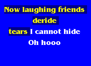 Now laughing friends
deride
tears I cannot hide
0h hooo