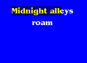 Midnight alleys

roam