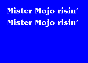 Mister Mojo risin'

Mister Mojo risin'