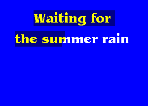 Waiting for

the summer rain