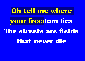 0h tell me where
your freedom lies
The streets are fields
that never die