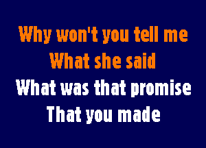 Why won't you tell me
What she said

What was that promise
That you made