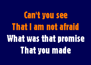 Can't you see
That I am not afraid

What was that promise
That you made