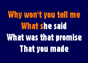 Why won't you tell me
What she said

What was that promise
That you made