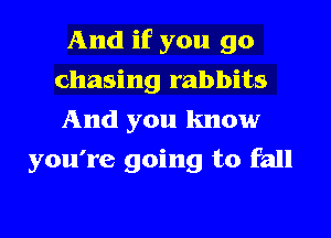 And if you go
chasing rabbits
And you know

you're going to fall