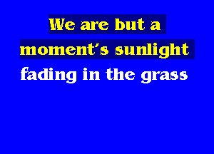 We are but a
moment's sunlight
fading in the grass