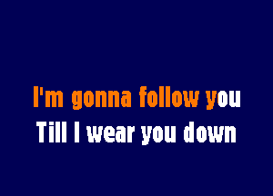 I'm gonna follow you
Till I wear you down