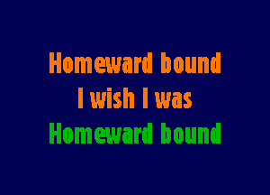 Homeward bound

I wish I was