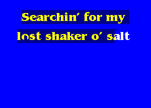 Searchin' for my
lost shaker 0' salt