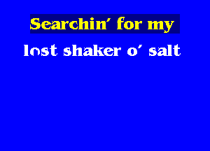 Searchin' for my
lost shaker 0' salt