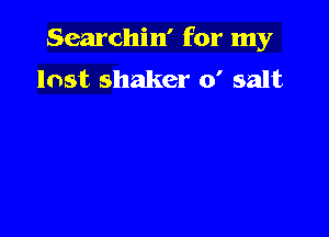 Searchin' for my
lost shaker 0' salt