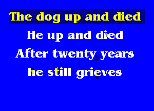 The dog up and died
He up and died
After twenty years
he still grieves