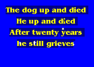 The dog up and died
He up and died
After twenty Sears
he still grieves